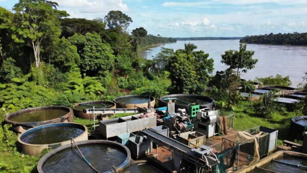 Agroindústria de pescado certificada em Porto Velho com tanques e equipamentos industriais