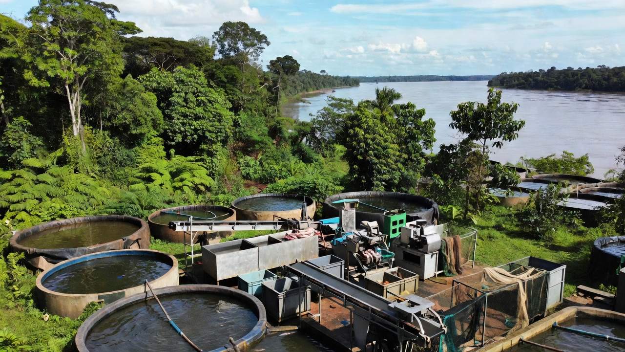 Agroindústria de pescado certificada em Porto Velho com tanques e equipamentos industriais