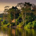 Rio Madeira em Porto Velho com seringueiras e paisagem amazônica do ciclo da borracha