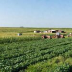 Campos de agricultura familiar no Brasil para o Plano Safra 2026