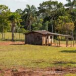 Propriedade rural em Machadinho d'Oeste, Rondônia, com casa e vegetação amazônica