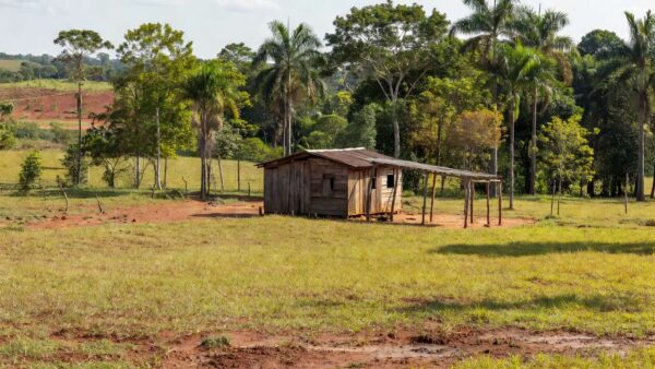 Propriedade rural em Machadinho d'Oeste, Rondônia, com casa e vegetação amazônica