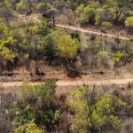 Aceiros contra queimadas em área de vegetação em Porto Velho, Rondônia