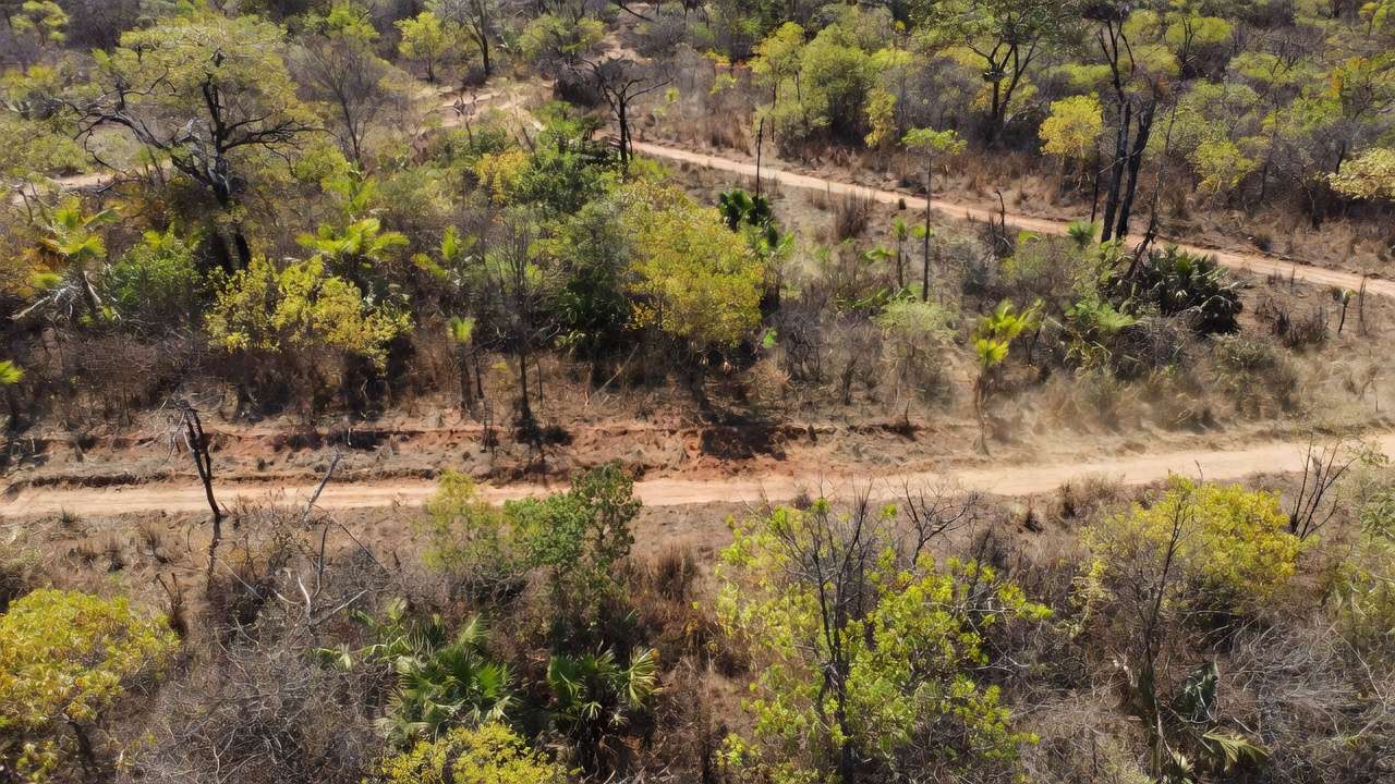 Aceiros contra queimadas em área de vegetação em Porto Velho, Rondônia