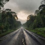 Rodovia BR-319 em Porto Velho, Rondônia, cena do crime
