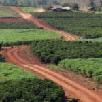 Paisagem rural de Porto Velho com plantações de produtores atendidos por Semagric e Projeto Reca