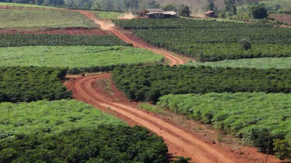 Paisagem rural de Porto Velho com plantações de produtores atendidos por Semagric e Projeto Reca