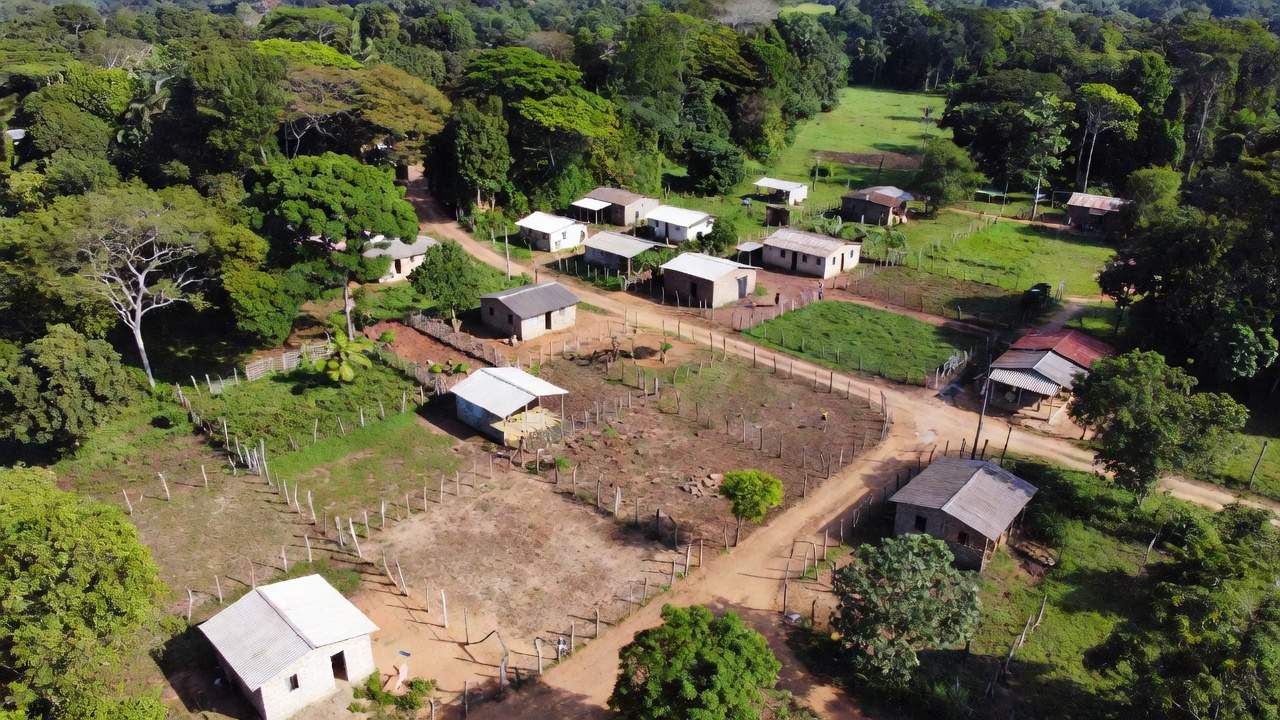 Lotes de terra demarcados em regularização fundiária em Jaci-Paraná