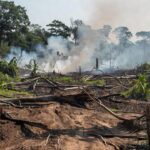 Desmatamento e queimadas ilegais na Amazônia em Candeias do Jamari, Rondônia