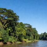 Paisagem da Amazônia em Porto Velho com céu limpo após redução de queimadas ilegais