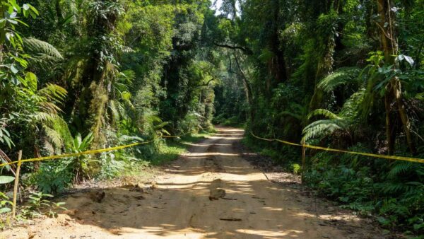 Estrada rural em União Bandeirantes com fita policial isolando área de descoberta