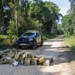 Apreensão de 101 kg de maconha pela PM em Costa Marques
