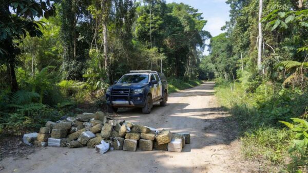 Apreensão de 101 kg de maconha pela PM em Costa Marques