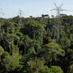 Torres de transmissão de energia em área amazônica de Rondônia