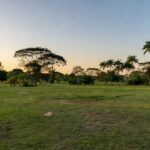 Campo de futebol rural com palmeiras de açaí para torneio da Linha do Açaí