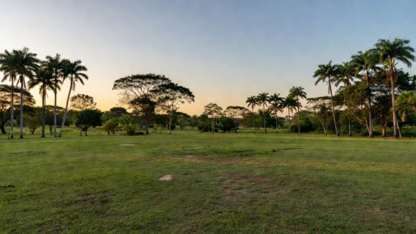 Campo de futebol rural com palmeiras de açaí para torneio da Linha do Açaí