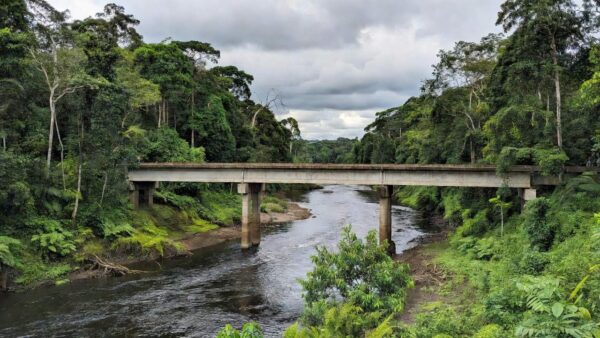 Portal de Rondônia
