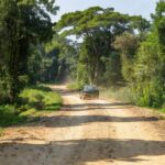 Fiat Palio verde fugindo em estrada rural de Ji-Paraná após tiroteio em festa.