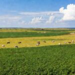 Área agropecuária em Porto Velho, Rondônia, líder no ranking com R$ 4,2 bilhões