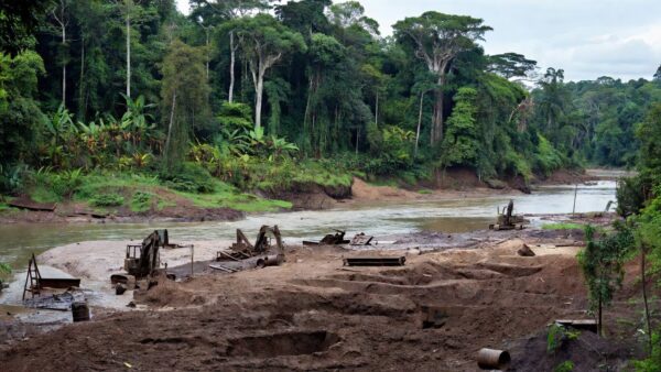 Área de preservação no rio Jaci-Paraná com sinais de mineração ilegal de cassiterita
