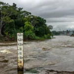 Rio Madeira em Porto Velho com nível de 4,20 m e monitoramento da Defesa Civil