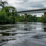 Portal de Rondônia