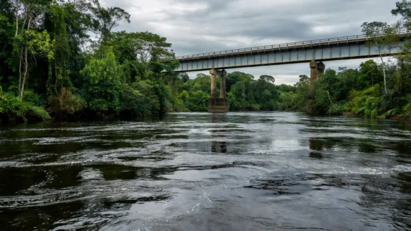 Portal de Rondônia