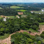 Áreas de restauração florestal mapeadas em 6 mil hectares em Rondônia, Amazônia.