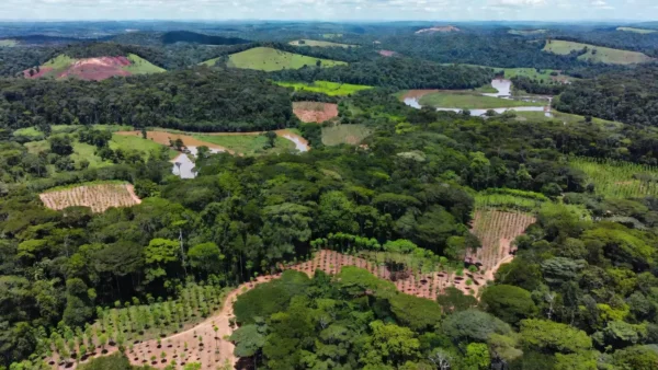 Áreas de restauração florestal mapeadas em 6 mil hectares em Rondônia, Amazônia.