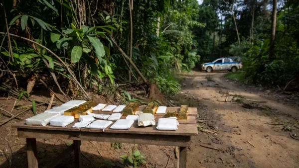 Apreensão de 1,2 kg de ouro e cocaína pela PF na fronteira de Guajará-Mirim