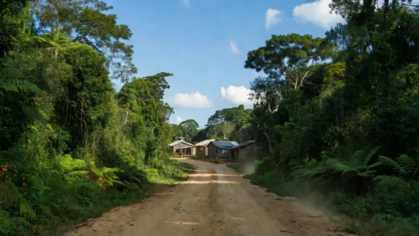 Estrada rural no interior de Rondônia com vegetação amazônica
