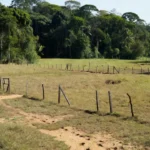 Área rural no interior de Rondônia com pastagens e mata, representando invasões de terras