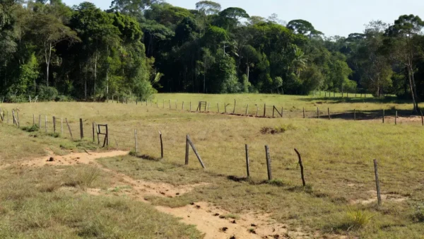 Área rural no interior de Rondônia com pastagens e mata, representando invasões de terras