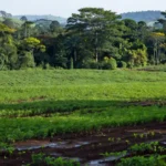 Portal de Rondônia