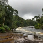 Infraestrutura municipal de gestão de riscos e desastres no Brasil