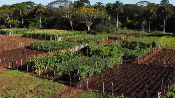 Deputado Coronel Chrisóstomo propõe simplificação da regularização fundiária para produtores familiares