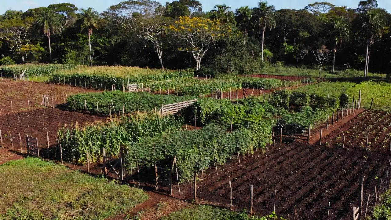 Deputado Coronel Chrisóstomo propõe simplificação da regularização fundiária para produtores familiares